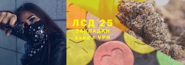 ГАЛЛЮЦИНОГЕННЫЕ ГРИБЫ Алексин